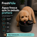 FreshFlow - Bebedero automático